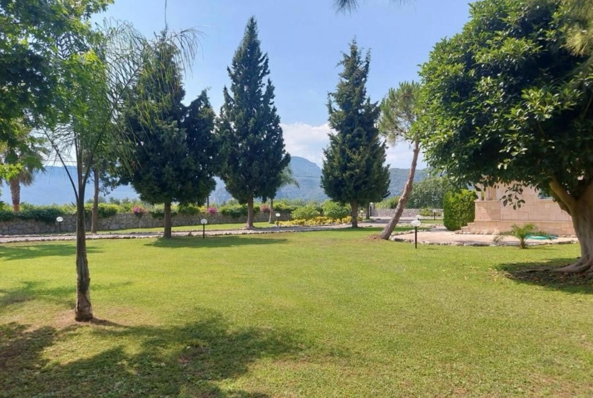 Afbeelding van WhatsApp op 2025-05-27 om 11.56.07_9b03876e