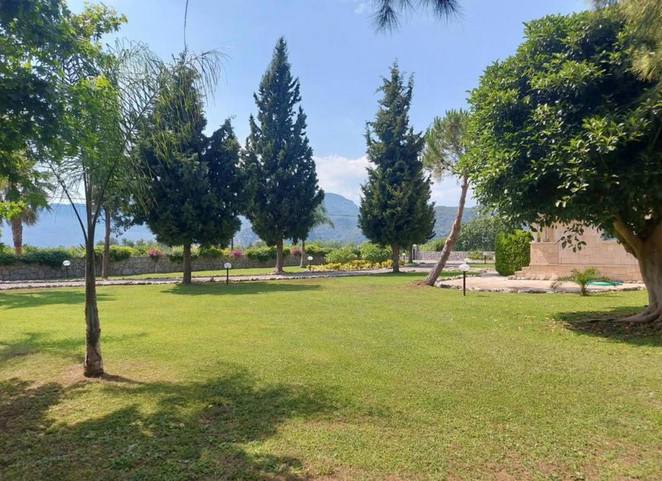 Afbeelding van WhatsApp op 2025-05-27 om 11.56.07_9b03876e